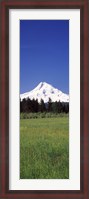 Framed Field with a snowcapped mountain in the background, Mt Hood, Oregon (vertical)