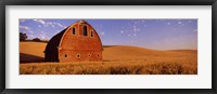 Framed Old barn in a wheat field, Palouse, Whitman County, Washington State