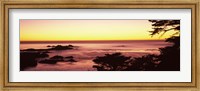 Framed Sea at sunset, Point Lobos State Reserve, Carmel, Monterey County, California, USA