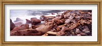 Framed Driftwood on the beach, Oregon Coast, Oregon, USA