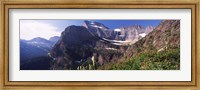 Framed Wildflowers with mountain range in the background, US Glacier National Park, Montana, USA