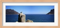 Framed Bronze leopard statue on a boulder, Hout Bay, Cape Town, Western Cape Province, South Africa