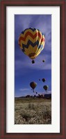 Framed Hot air balloons rising, Hot Air Balloon Rodeo, Steamboat Springs, Colorado