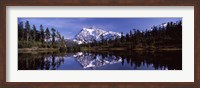 Framed Mt Shuksan Reflection at Picture Lake, North Cascades National Park