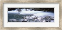 Framed River, Hollyford River, Fiordland National Park, South Island, New Zealand