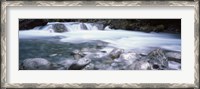 Framed River, Hollyford River, Fiordland National Park, South Island, New Zealand