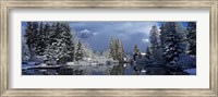 Framed Reflection of tree in a creek, Spring Creek, Mt Rundle, Canmore, Alberta, Canada