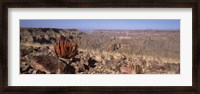 Framed Aloe growing at the edge of a canyon, Fish River Canyon, Namibia