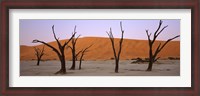 Framed Dead trees in a desert at sunrise, Dead Vlei, Sossusvlei, Namib-Naukluft National Park, Namibia