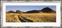 Framed Trails passing through a desert, Namibia