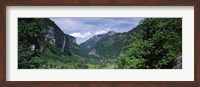 Framed Forest, Lauterbrunnen Valley, Bernese Oberland, Berne Canton, Switzerland