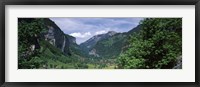 Framed Forest, Lauterbrunnen Valley, Bernese Oberland, Berne Canton, Switzerland