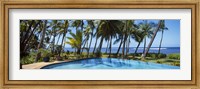 Framed Palm Trees in Maui, Hawaii (horizontal)