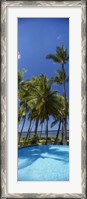 Framed Palm Trees in Maui, Hawaii (vertical)