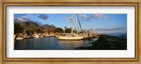 Framed Sailboats in the bay, Lahaina Harbor, Lahaina, Maui, Hawaii, USA