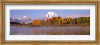 Framed Reflection of trees in a river, Oxbow Bend, Snake River, Grand Teton National Park, Teton County, Wyoming, USA