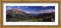 Framed Wildflowers with mountains in the background, Crested Butte, Gunnison County, Colorado, USA