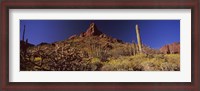Framed Organ Pipe Cactus National Monument, Arizona