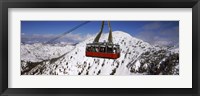 Framed Overhead cable car in a ski resort, Snowbird Ski Resort, Utah