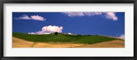 Framed Agricultural field, Ronda, Malaga Province, Andalusia, Spain