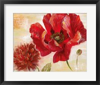Passion for Poppies II Framed Print
