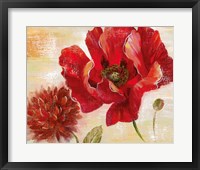 Framed Passion for Poppies II