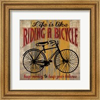Framed Life is Like Riding a Bicycle