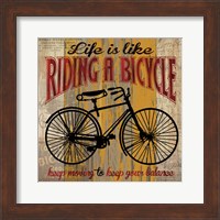 Framed Life is Like Riding a Bicycle