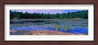 Framed Pond in a national park, Bubble Pond, Acadia National Park, Mount Desert Island, Hancock County, Maine, USA