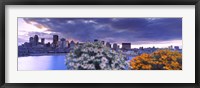 Framed Blooming flowers with Montreal skyline, Quebec, Canada 2010