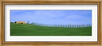 Framed Farmhouse in a field, San Quirico d'Orcia, Orcia Valley, Siena Province, Tuscany, Italy