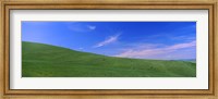 Framed Landscape, San Quirico d'Orcia, Orcia Valley, Siena Province, Tuscany, Italy