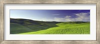 Framed Clouds over landscape, Val D'Orcia, Siena Province, Tuscany, Italy