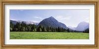 Framed Trees on a hill with mountain range in the background, Karwendel Mountains, Risstal Valley, Hinterriss, Tyrol, Austria