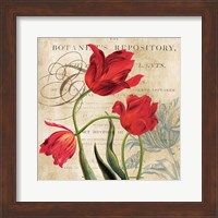 Framed Botanist's Repository