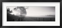 Framed Ranch at dawn, Woodford County, Kentucky, USA