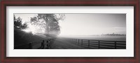 Framed Ranch at dawn, Woodford County, Kentucky, USA
