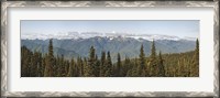 Framed Mountain range, Olympic Mountains, Hurricane Ridge, Olympic National Park, Washington State, USA