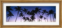 Framed Silhouettes of palm trees at sunset