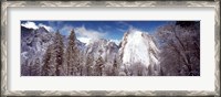 Framed Snowy trees with rocks in winter, Cathedral Rocks, Yosemite National Park, California, USA