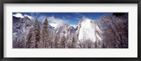 Framed Snowy trees with rocks in winter, Cathedral Rocks, Yosemite National Park, California, USA