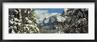 Framed Snowy trees in winter, Yosemite Valley, Yosemite National Park, California, USA