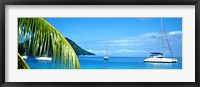 Framed Sailboats in the ocean, Tahiti, Society Islands, French Polynesia (horizontal)