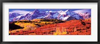 Framed Forest in autumn with snow covered mountains in the background, Telluride, San Miguel County, Colorado, USA