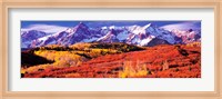 Framed Forest in autumn with snow covered mountains in the background, Telluride, San Miguel County, Colorado, USA
