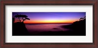 Framed Silhouette of Lone Cypress Tree on a cliff, 17-Mile Drive, Pebble Beach, Carmel, Monterey County, California, USA