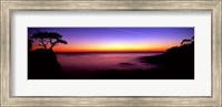 Framed Silhouette of Lone Cypress Tree on a cliff, 17-Mile Drive, Pebble Beach, Carmel, Monterey County, California, USA