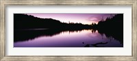 Framed Reflection of trees in a lake, Mt Rainier National Park, Washington State