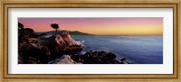 Framed Silhouette of Lone Cypress Tree at a coast, 17-Mile Drive, Carmel, Monterey County, California, USA