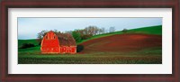 Framed Red Barn in a Field at Sunset, Washington State, USA